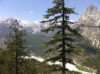 Blick ins Valbona