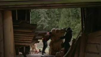 Die Hütte wird zu einem Kunstwerk©EIKON Media GmbH