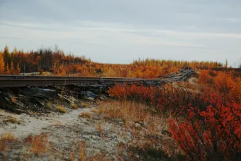 ©ZMusikic_Ghosts_Schienen